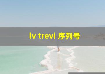 lv trevi 序列号